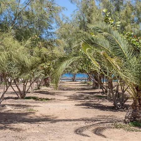 Mirador Del Mar